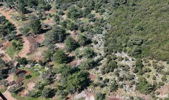 Bodrum'a 2,8 Milyar TL'lik Dev Turizm Yatırımı 227 Odalı, 454 Yataklı Dev Konaklama Tesisi Geliyor 3